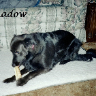 Shadow. 1998-2015